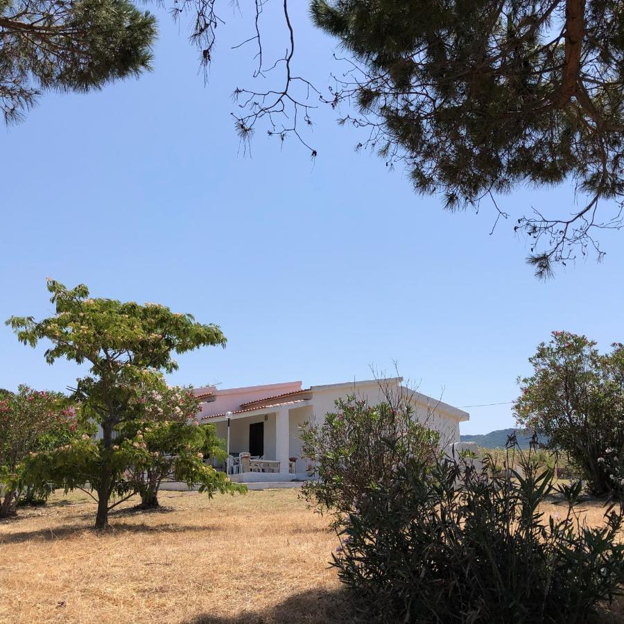 Villa Rosa Valledoria  Dış mekan fotoğraf