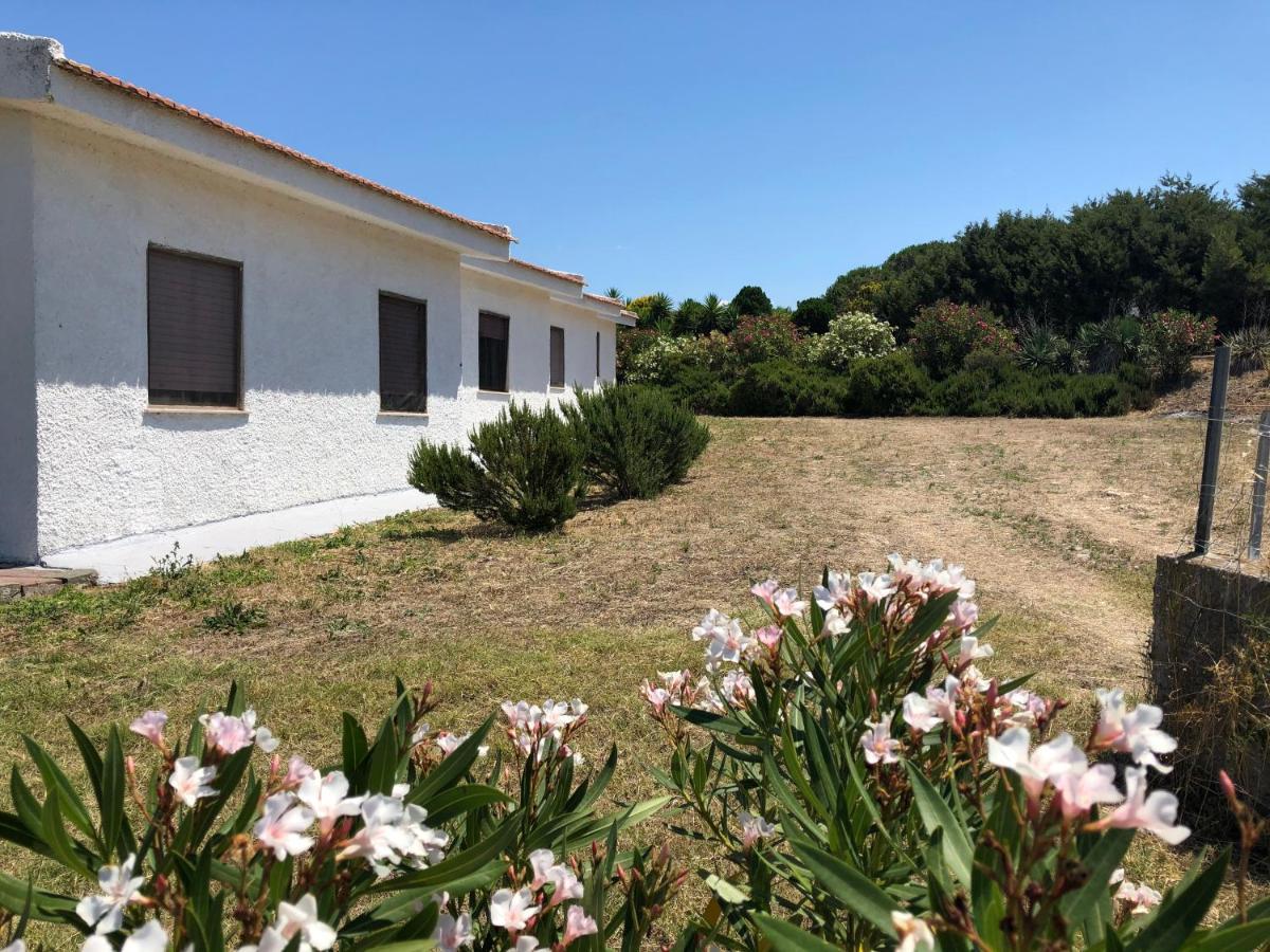 Villa Rosa Valledoria  Dış mekan fotoğraf